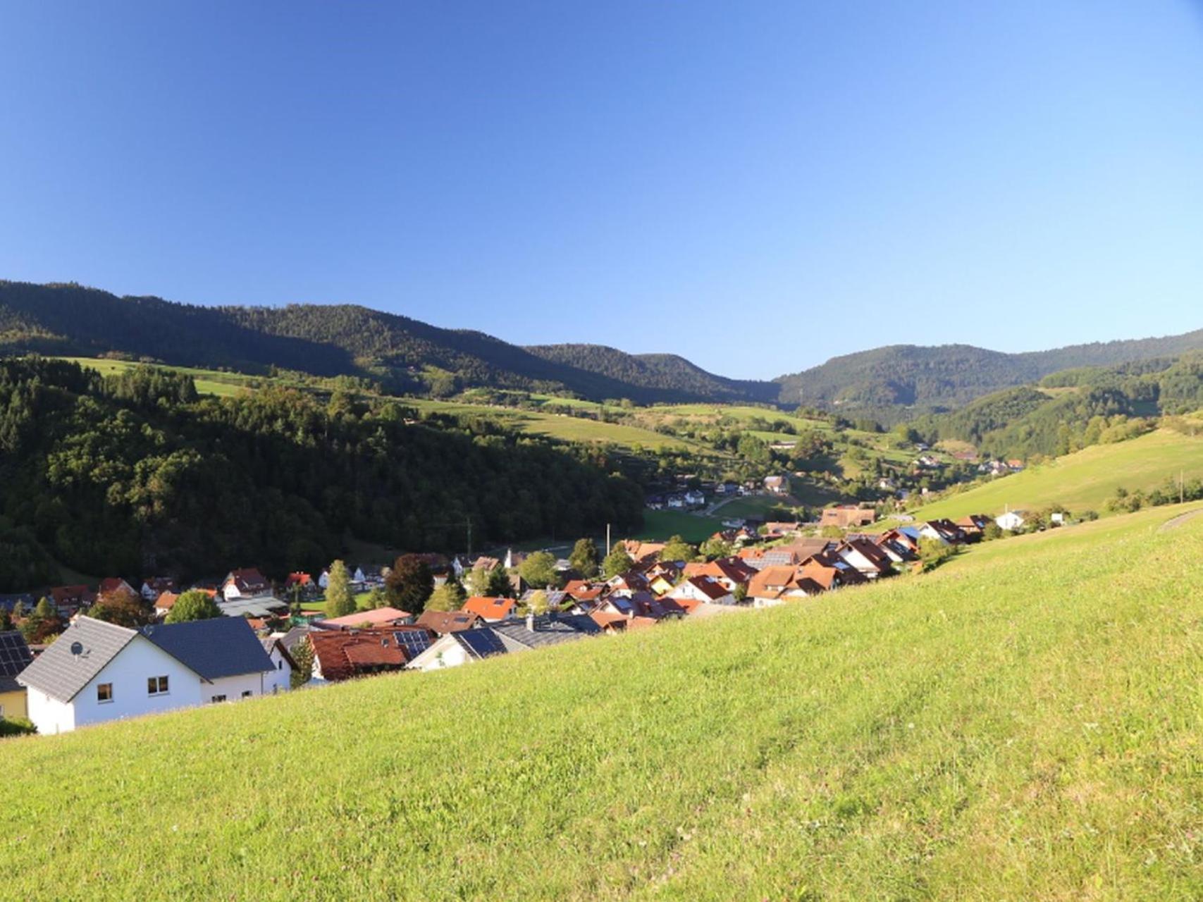 Appartement Schwarzwaldstuble Oberharmersbach Bagian luar foto