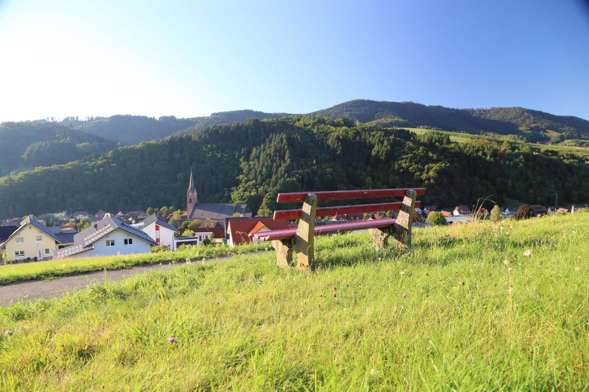 Appartement Schwarzwaldstueble Oberharmersbach Bagian luar foto